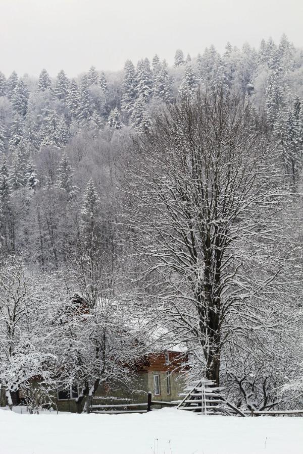 Багрівчанка Apartamento Yaremche Exterior foto