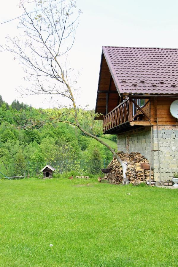 Багрівчанка Apartamento Yaremche Exterior foto