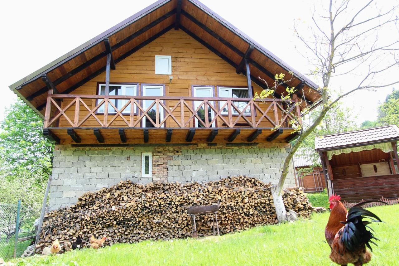 Багрівчанка Apartamento Yaremche Exterior foto